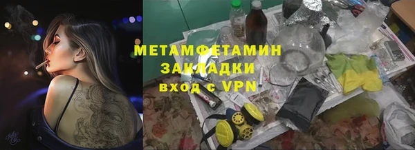 ГАЛЛЮЦИНОГЕННЫЕ ГРИБЫ Дмитриев