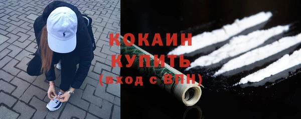 дурь Пересвет