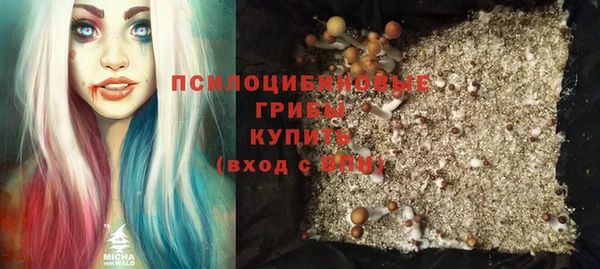 не бодяженный Осинники
