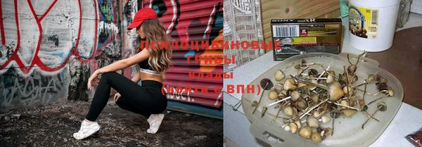 стафф Переславль-Залесский