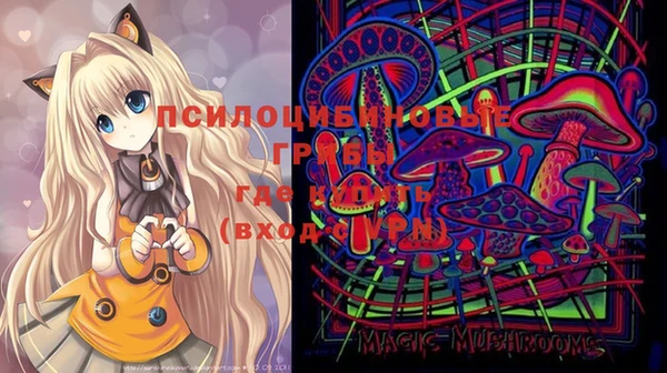 не бодяженный Осинники