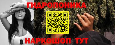 ГАЛЛЮЦИНОГЕННЫЕ ГРИБЫ Изобильный