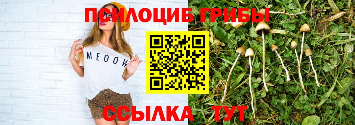 Псилоцибиновые грибы Magic Shrooms  Галлюциногенные грибы прущие грибы  Сердобск 